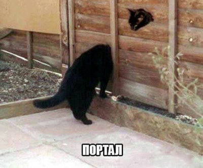 портал.jpg