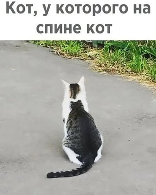 499380221_1065716752096538_7303488564183889964_n.jpg