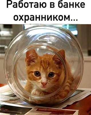 FB_IMG_1741255362224.jpg