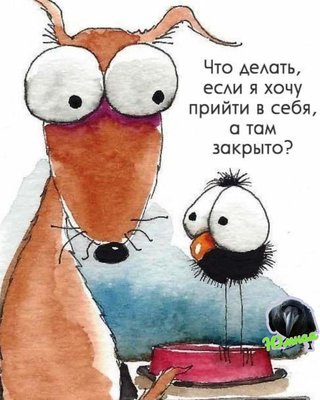 FB_IMG_1732890622299.jpg
