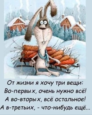 FB_IMG_1732890229073.jpg