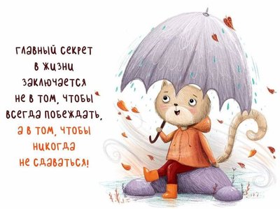 FB_IMG_1730050483009.jpg