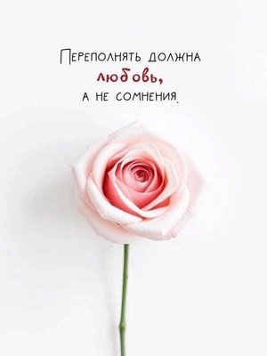 FB_IMG_1756192312773.jpg