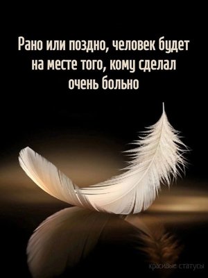 FB_IMG_1756022358879.jpg