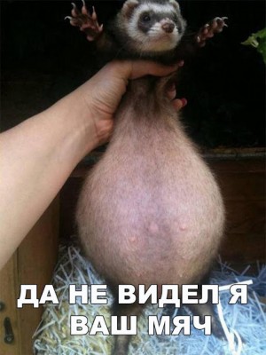 qxnSlz1QL_I.jpg