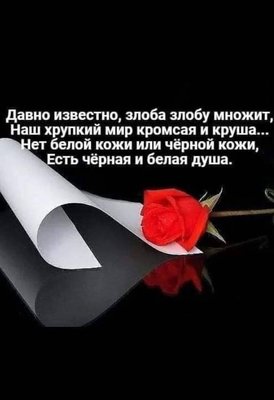 FB_IMG_1755954603755.jpg