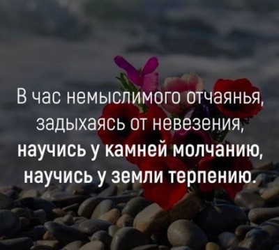 IMG_20180531_194343.jpg