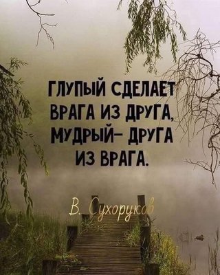 FB_IMG_1756034827087.jpg