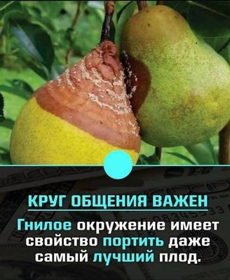 FB_IMG_1754940163046.jpg