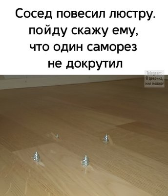 FB_IMG_1741073768337.jpg