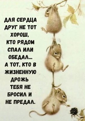 FB_IMG_1743495804940.jpg