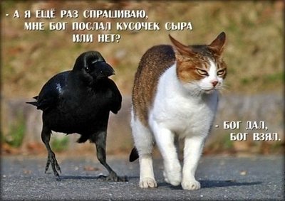 KbeCoQIPGhg.jpg