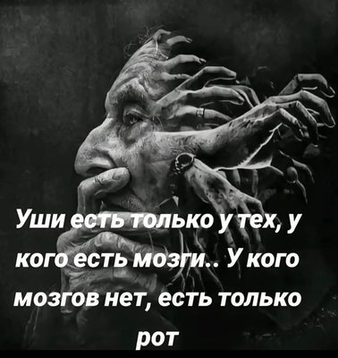 FB_IMG_1744097184706.jpg
