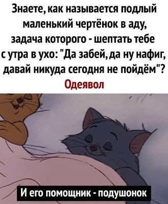 одеявол.jpg