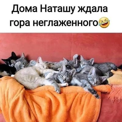 FB_IMG_1760206452677.jpg