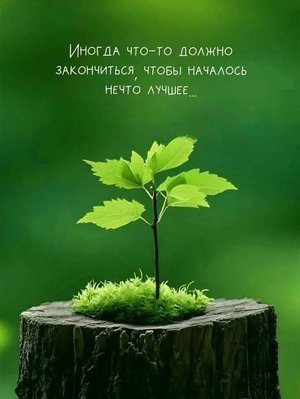 FB_IMG_1762362385463.jpg