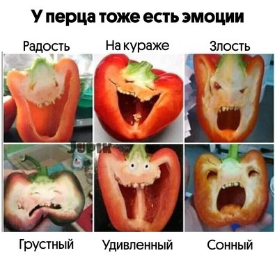 FB_IMG_1762362407939.jpg