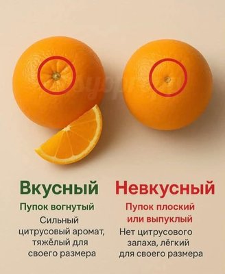 FB_IMG_1763140555031.jpg