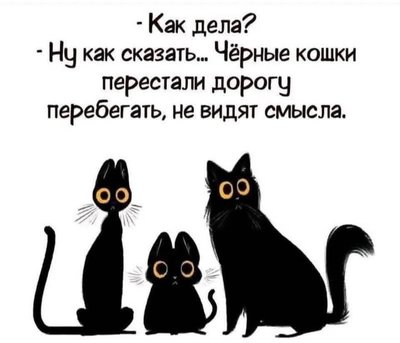 FB_IMG_1761640256296.jpg