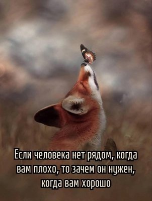 FB_IMG_1763769170327.jpg