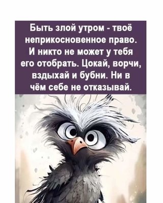 FB_IMG_1730022509027.jpg