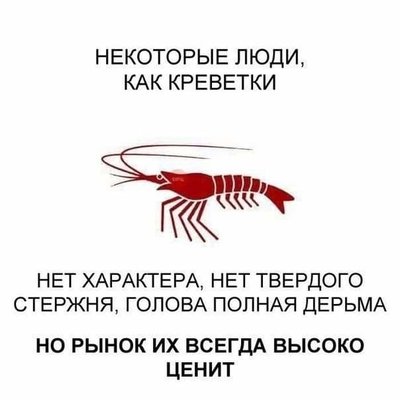 FB_IMG_1729719080018.jpg