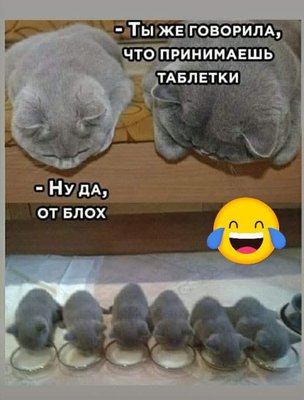 FB_IMG_1764263909616.jpg
