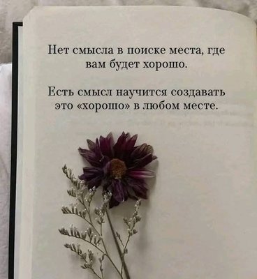 FB_IMG_1761850573610.jpg