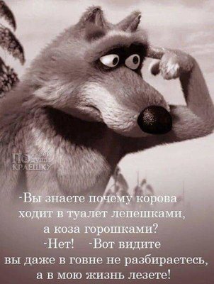 FB_IMG_1724771564677.jpg