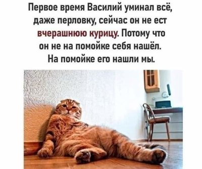 FB_IMG_1723068531772.jpg