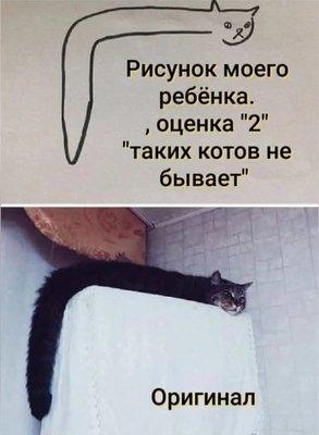 FB_IMG_1765910623159.jpg