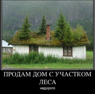 gplus1588069621.png