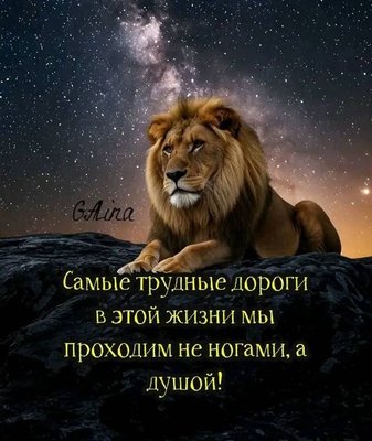 FB_IMG_1761640120398.jpg