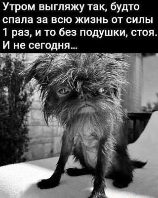 FB_IMG_1745750181649.jpg