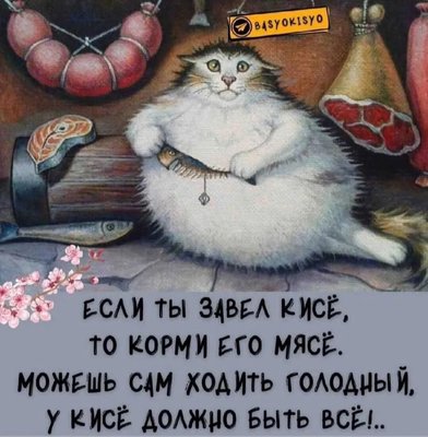 FB_IMG_1744952863877.jpg