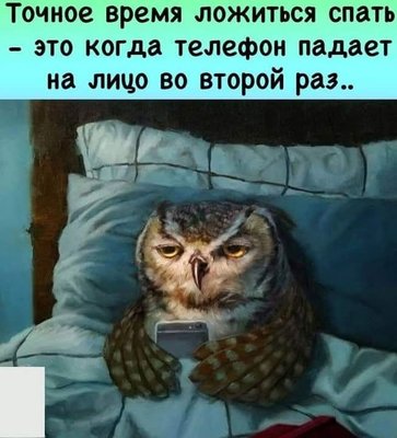 FB_IMG_1743432503163.jpg