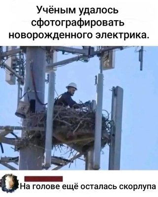 FB_IMG_1740648258206.jpg