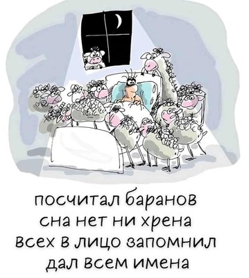 FB_IMG_1736171285447.jpg
