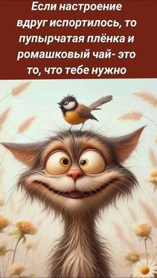 FB_IMG_1732820725574.jpg
