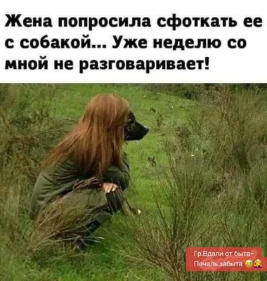 FB_IMG_1730729180459.jpg