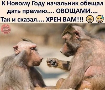 FB_IMG_1766501853696.jpg