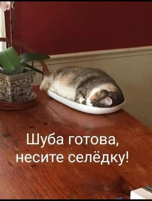 FB_IMG_1766586974689.jpg