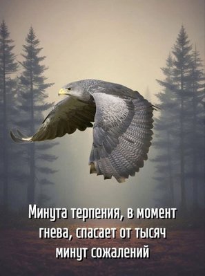 FB_IMG_1766591785228.jpg