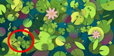 -media-42982-turtle-lilypads-gallery-2.CACHE-620x305-crop.jpg