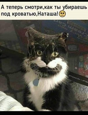FB_IMG_1767126305918.jpg