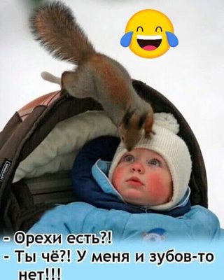 FB_IMG_1770991002763.jpg