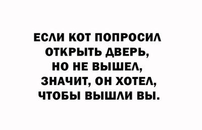 FB_IMG_1771355770934.jpg