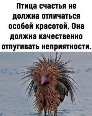 FB_IMG_1771494749391.jpg