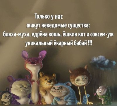FB_IMG_1770990675424.jpg