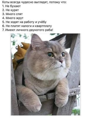 FB_IMG_1771954347472.jpg